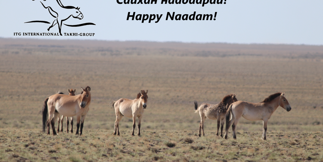 Happy Naadam  small